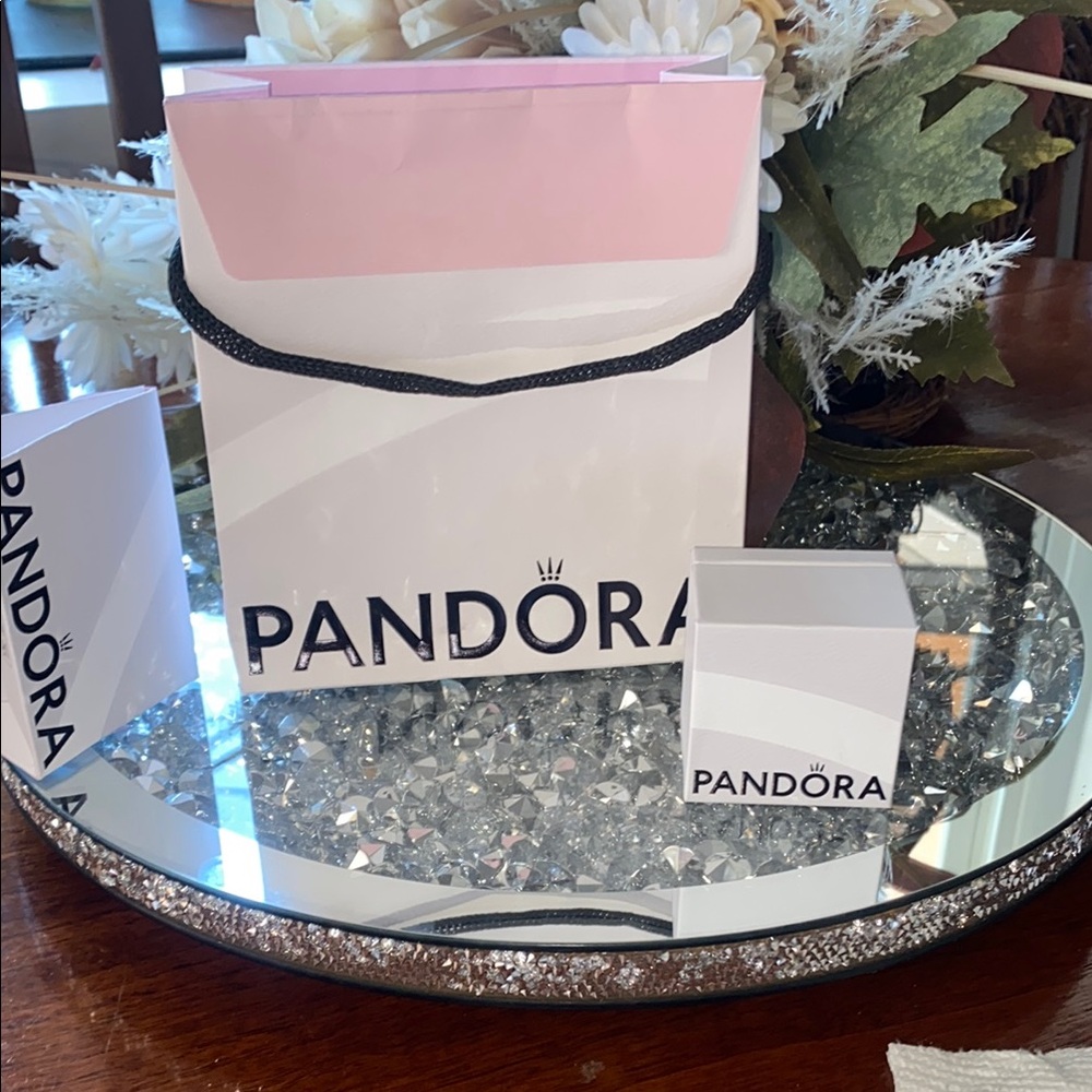 Pandora Gift Bag and Box Set